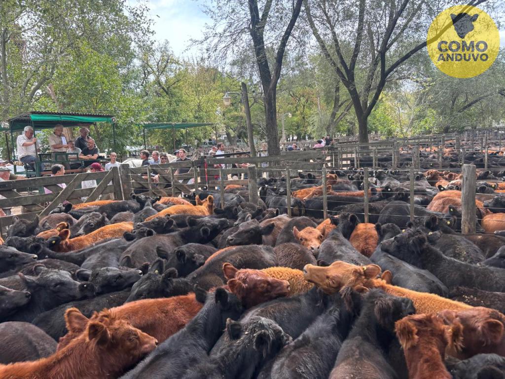 Hourcade, Albelo y Cía